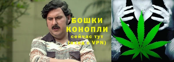 гидра Краснотурьинск