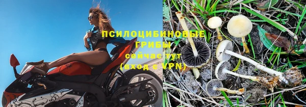 гидра Краснотурьинск