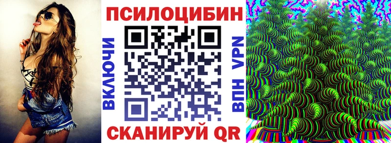 mega как войти площадка состав Галлюциногенные грибы Psilocybine cubensis Саки
